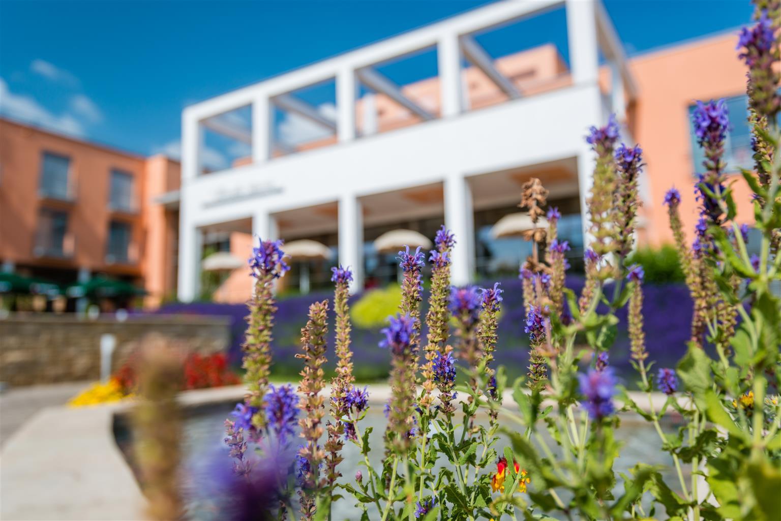 Hotel Am Vitalpark Heiligenstadt Dış mekan fotoğraf